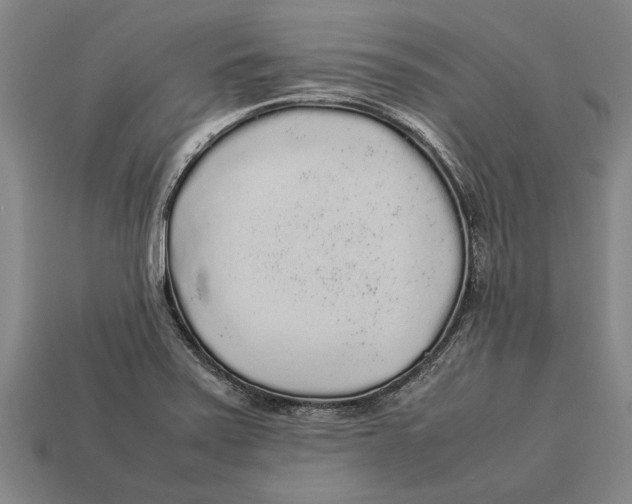 X0000113071371200909250920