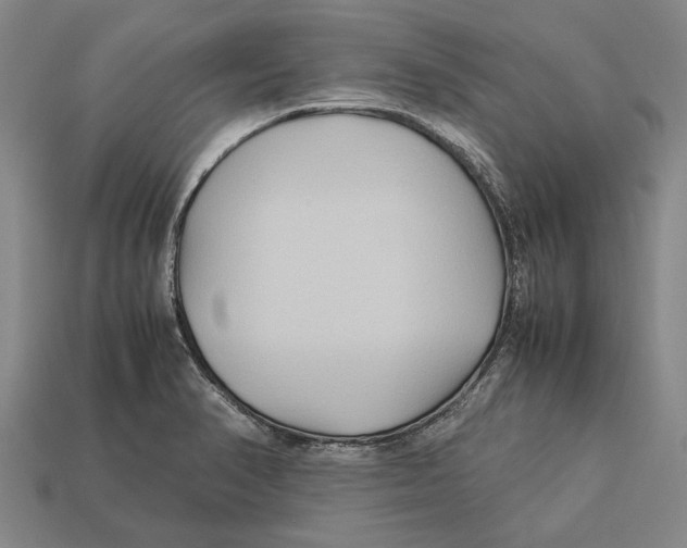 X0000113071374200909250920