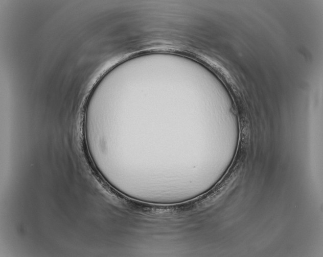 X0000113071375200909250920