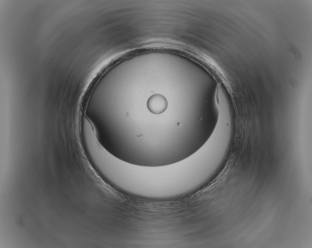 X0000113071376200909250920