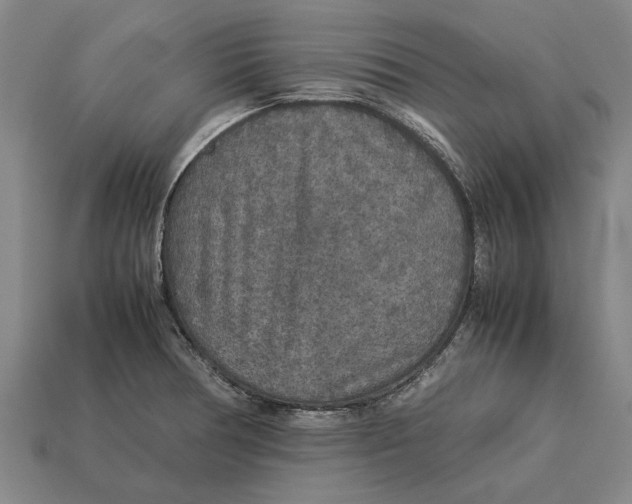 X0000113071378200909250920