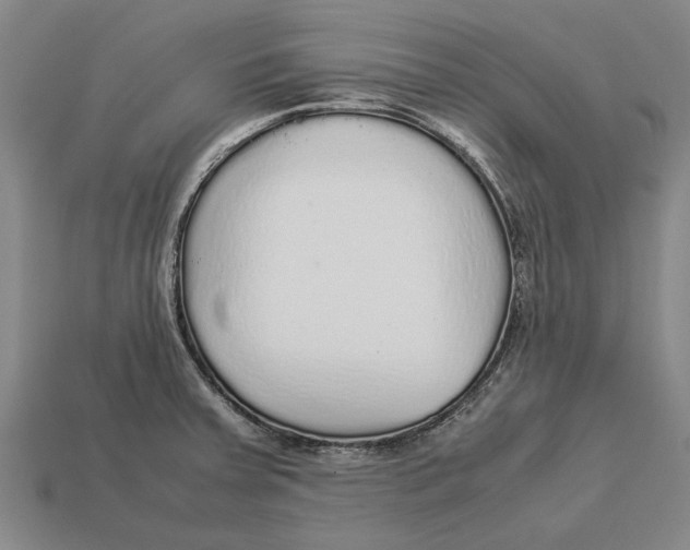 X0000113071379200909250920