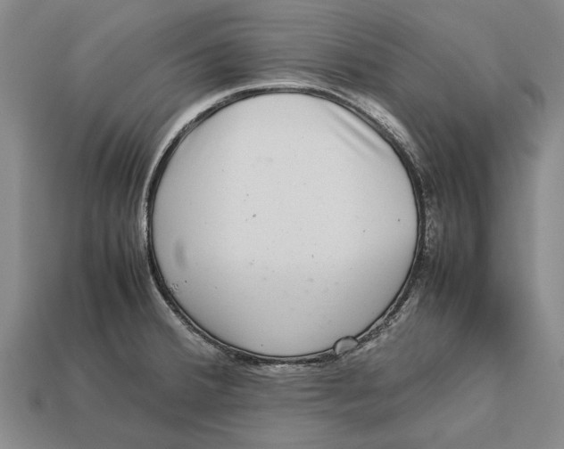 X0000113071380200909250920