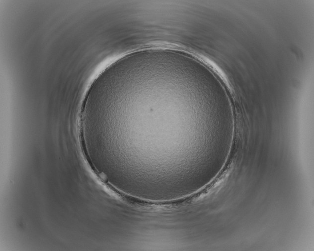 X0000113071381200909250920