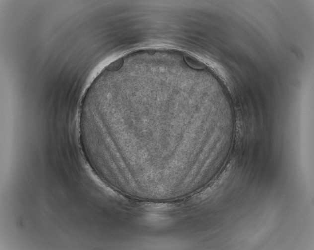 X0000113071382200909250920