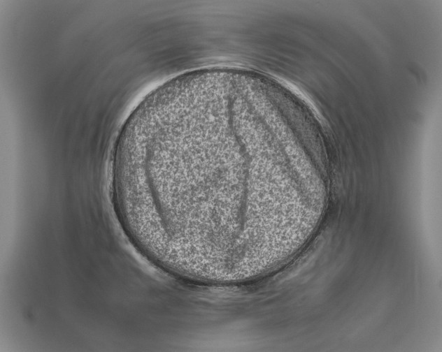 X0000113071383200909250920