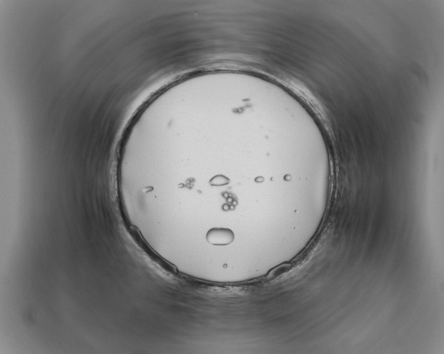 X0000113071384200909250920