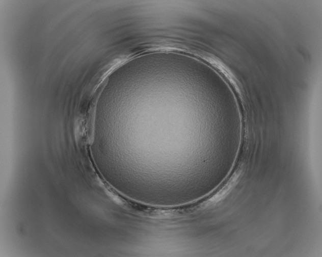 X0000113071385200909250920