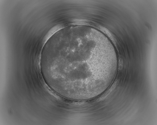 X0000113071386200909250920