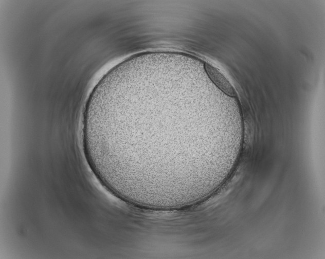 X0000113071387200909250920