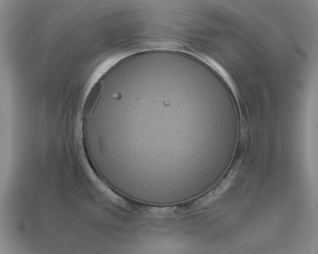 X0000113071389200909250920