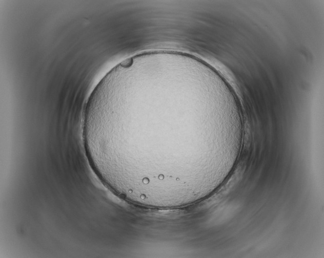 X0000113071390200909250920