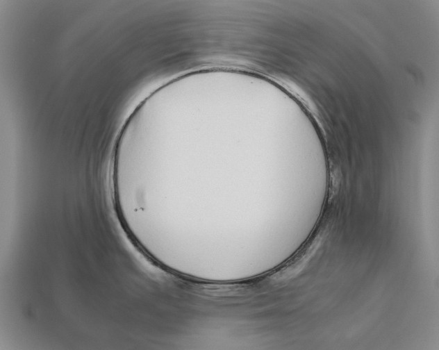 X0000113071391200909250920