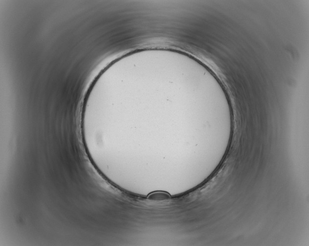 X0000113071392200909250920