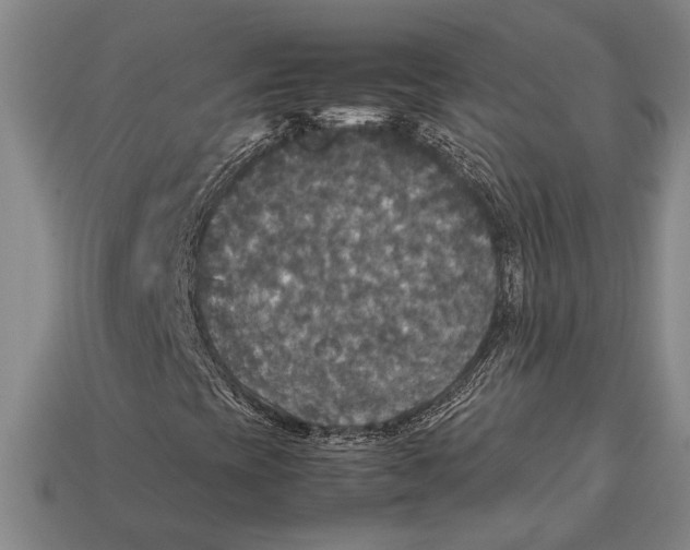X0000113071393200909250920
