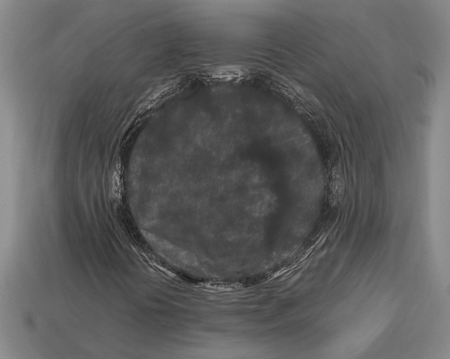 X0000113071394200909250920