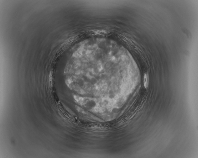 X0000113071395200909250920