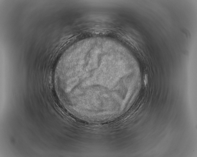X0000113071396200909250920