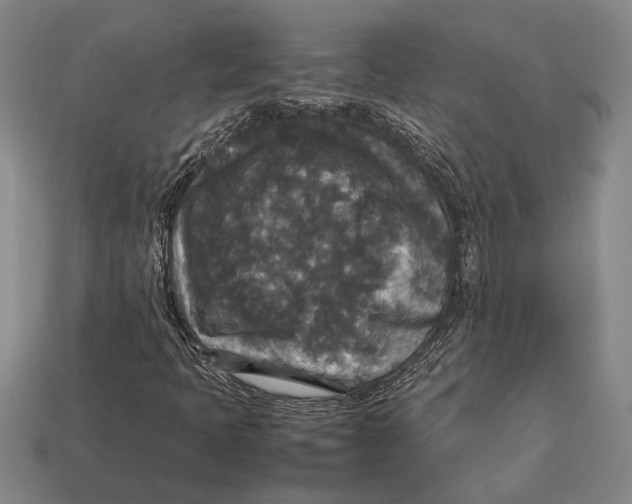 X0000113071397200909250920