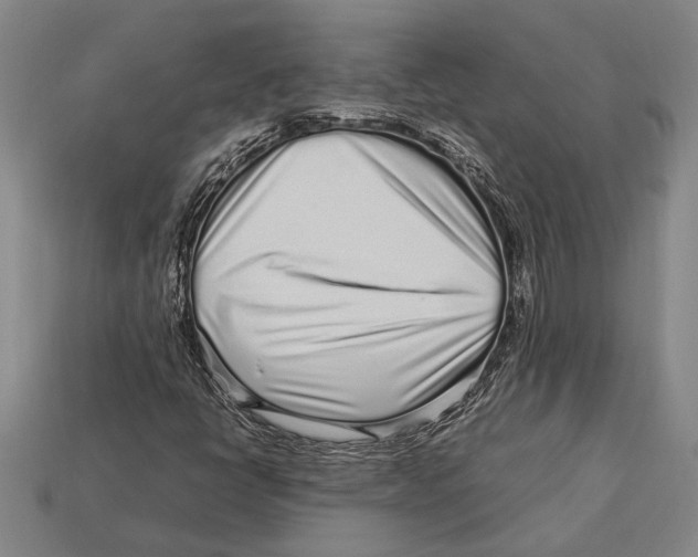 X0000113071398200909250920