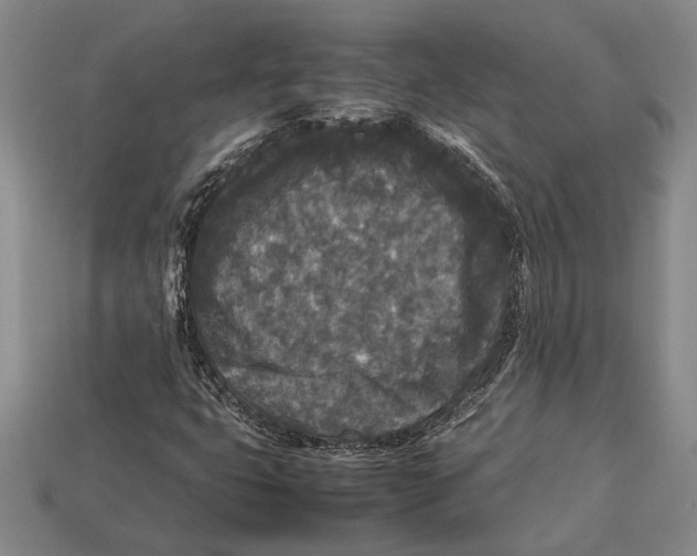 X0000113071399200909250920