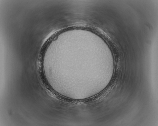 X0000113071400200909250920
