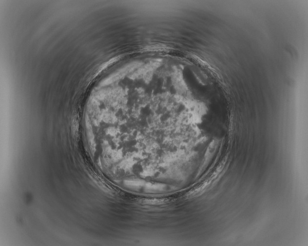 X0000113071401200909250920