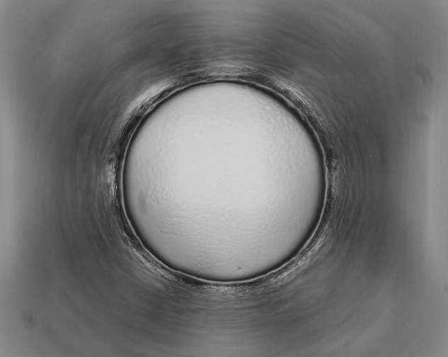 X0000113071402200909250920