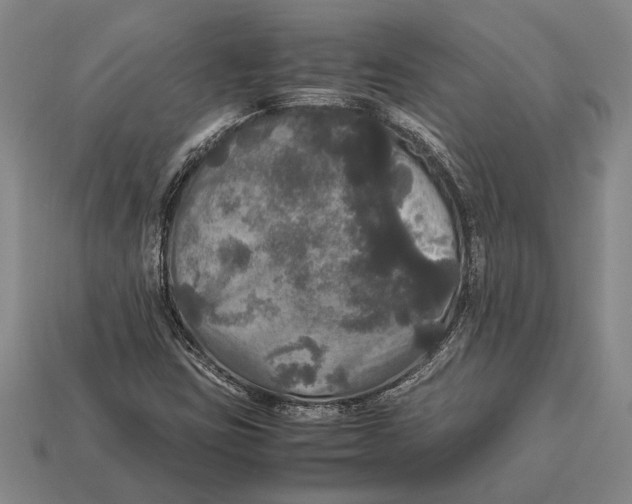 X0000113071403200909250920
