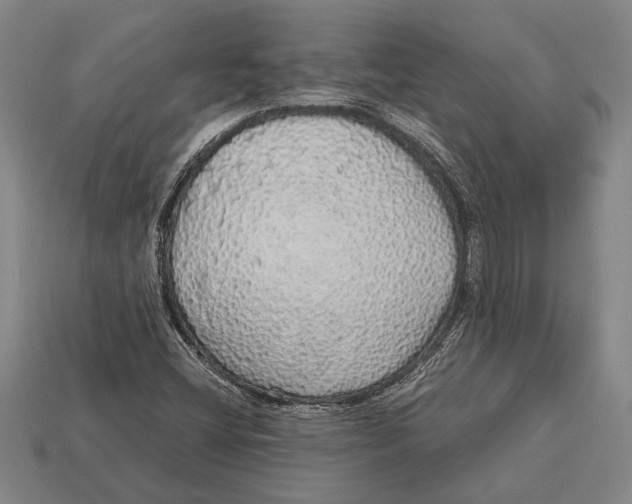 X0000113071404200909250920