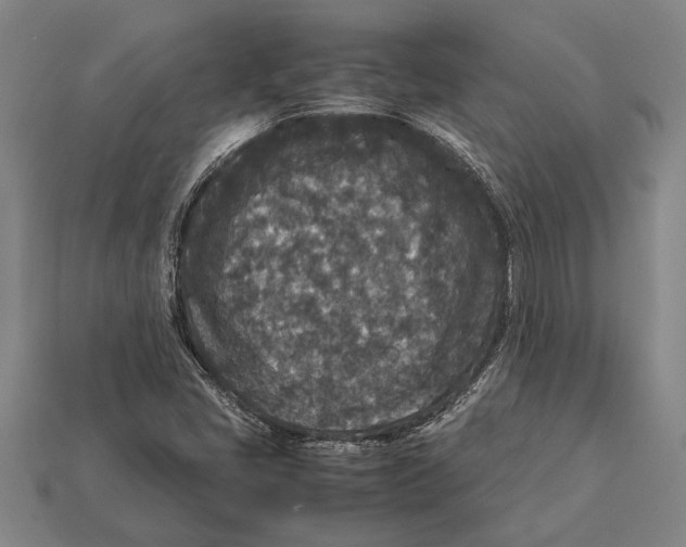 X0000113071405200909250920