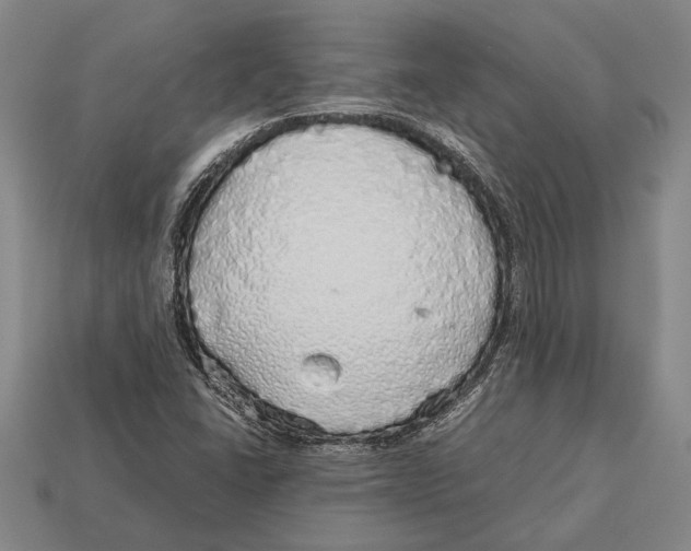 X0000113071406200909250920