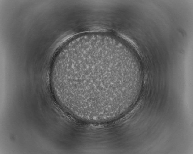 X0000113071407200909250920