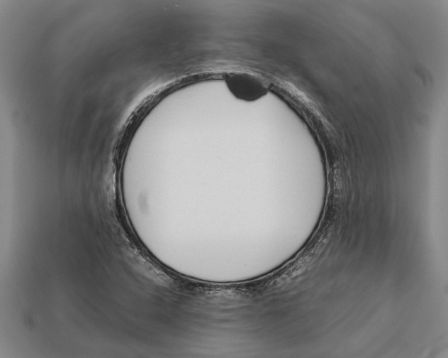 X0000113071408200909250920