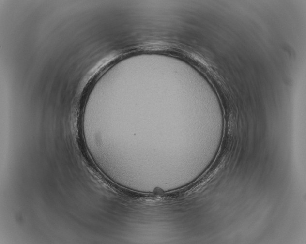 X0000113071410200909250920