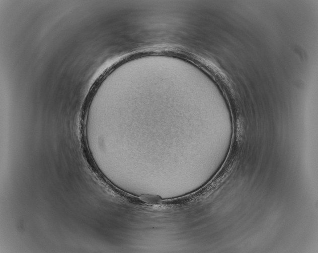 X0000113071412200909250920
