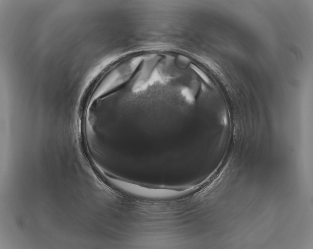 X0000113071414200909250920
