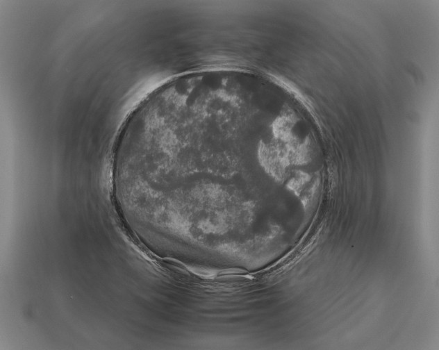 X0000113071415200909250920