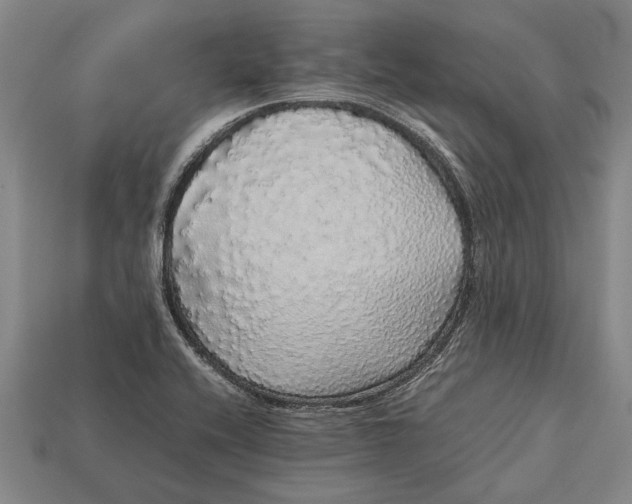 X0000113071416200909250920