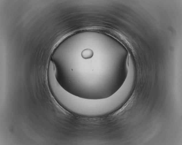 X0000113071417200909250920