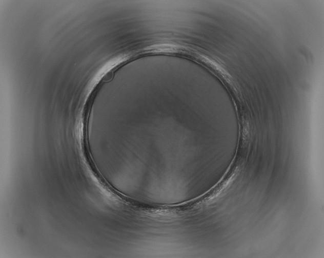 X0000113071418200909250920