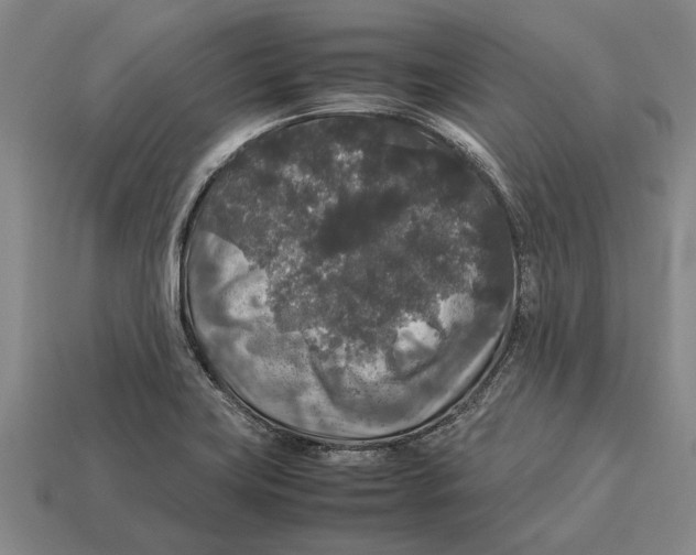 X0000113071419200909250920