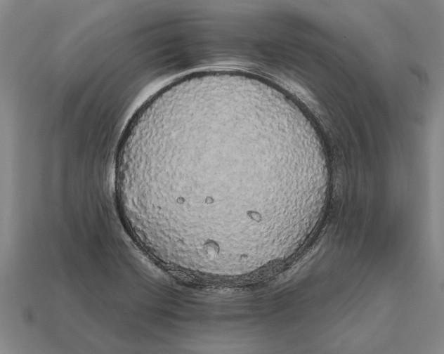X0000113071420200909250920