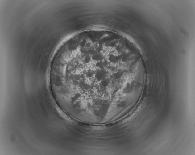 X0000113071421200909250920