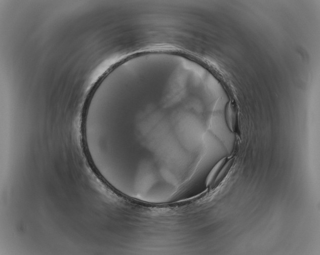 X0000113071422200909250920