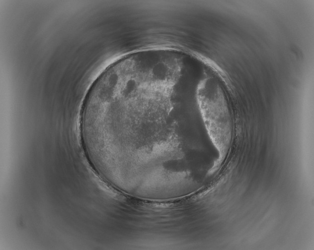 X0000113071423200909250920