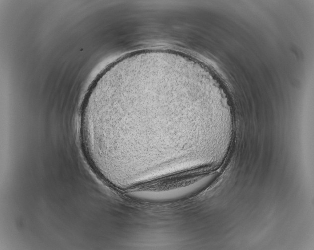 X0000113071424200909250920