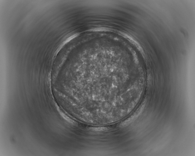 X0000113071425200909250920