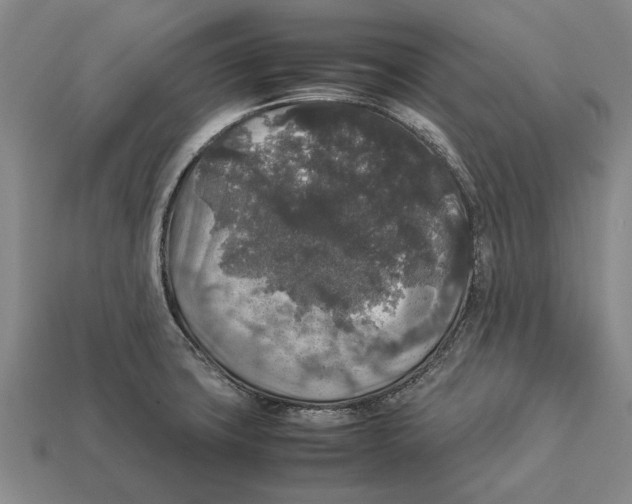 X0000113071427200909250920