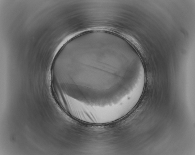 X0000113071428200909250920